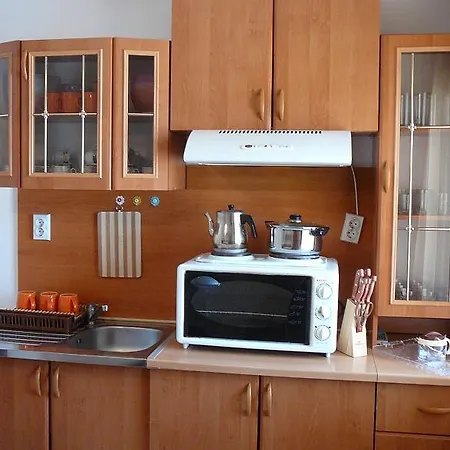 Guest house Videlina Byala (Varna)